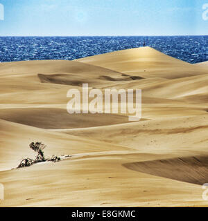 Mann auf einer entfernten Sanddüne am Meer, Gran Canaria, Kanarische Inseln, Spanien Stockfoto