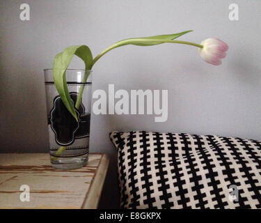 Tulpe in Glas Wasser Stockfoto
