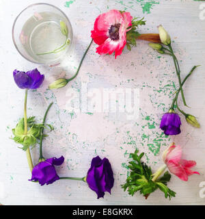 Rosa und lila Anemone Blumen neben eine Vase mit Wasser Stockfoto