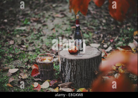 Italien, Piemont, Tortona, Stilleben mit Flasche Rotwein, Glas und Granatapfel im Herbst Szene Stockfoto