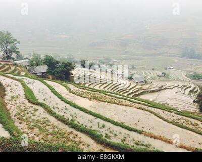 Vietnam, Lao Cai Provinz, Sa Pa, Landschaft typischen vietnamesischen Landwirtschaft Stockfoto