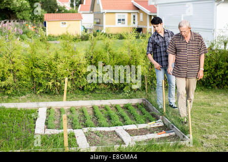 Gesamte Länge der Großvater und Enkel, die Analyse von Pflanzen im Garten Stockfoto