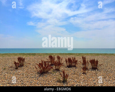 Leerer Strand, Goring-by-Sea, West Sussex, England, Großbritannien Stockfoto