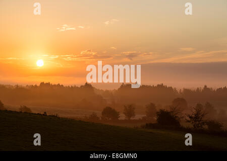 Ein nebliger nebligen Sonnenaufgang über Bäume und ländlicher Umgebung. Glasgow, Scotland, UK Stockfoto