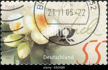 Deutschland - ca. 2004: Briefmarke gedruckt in Deutschland, zeigt eine blühende Kamelie, ca. 2004 Stockfoto