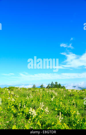 Präfektur Nagano, Japan Stockfoto