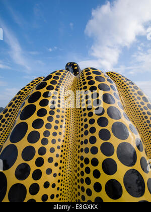 Riesige gelbe Pop-Art Kürbis durch die japanische Künstlerin Yayoi Kusama. Benesse Art Site Naoshima, Japan Stockfoto