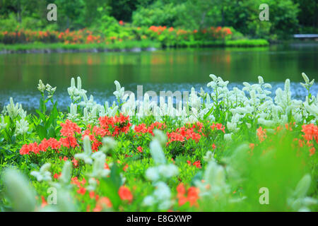 Präfektur Akita, Japan Stockfoto