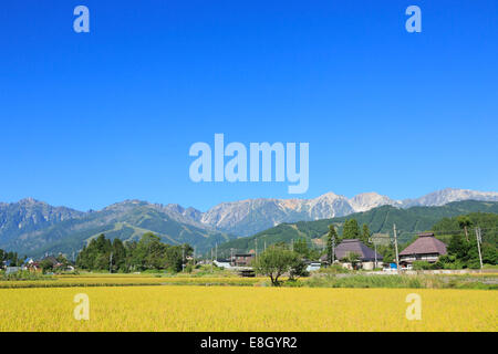 Präfektur Nagano, Japan Stockfoto