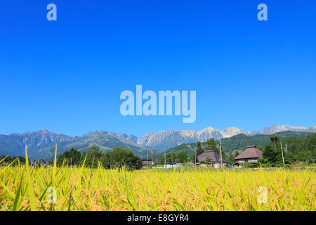 Präfektur Nagano, Japan Stockfoto