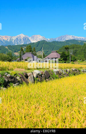 Präfektur Nagano, Japan Stockfoto