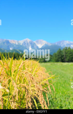 Präfektur Nagano, Japan Stockfoto