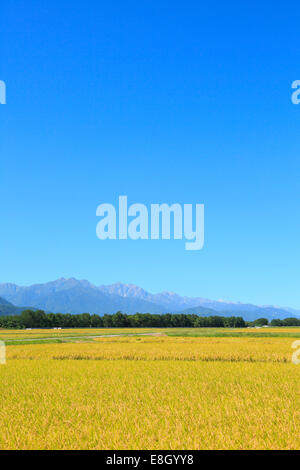 Präfektur Nagano, Japan Stockfoto