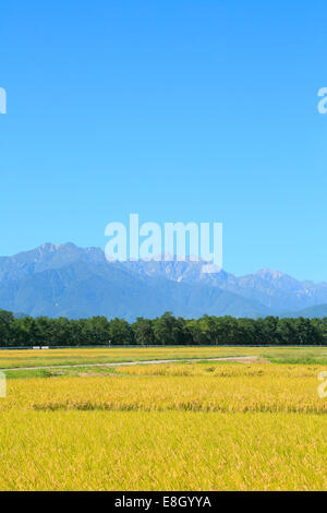 Präfektur Nagano, Japan Stockfoto