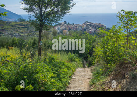 Annäherung an die Klippe Top Corniglia auf dem Küstenpfad von Vernazza, Cinque Terre, Ligurien, Italien. Stockfoto