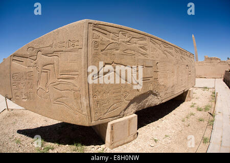 Ägypten, Luxor, Karnak-Tempel, Hapshetsut Granitobelisk liegend horizontal Stockfoto