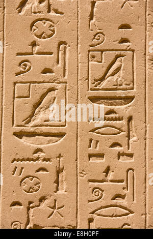 Ägypten, Luxor, Karnak-Tempel, Hieroglyphen in Stein Panel eingestürzt Stockfoto