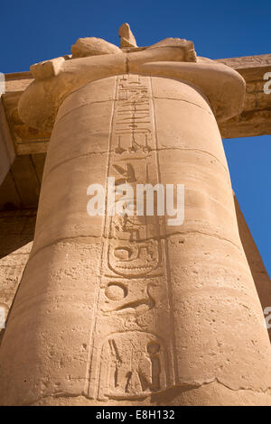 Ägypten, Luxor, Ramesseum, Leichenhalle Tempel von Ramses II, Hieroglyphen auf Statuen Stockfoto