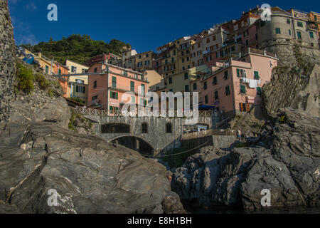 Manarola, Cinque Terre (fünf Länder), Region Ligurien, Italien. Stockfoto