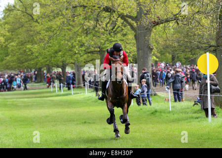 Andrew Heffernan auf Millthyme Corolla an Badminton Horse Trials 2014 Stockfoto