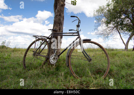 Ein altes Fahrrad für den Transport im ländlichen Zambnia lehnt sich an einen Baum auf Chikuni Insel im Bangweulu Feuchtgebiete. Stockfoto