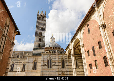 Siena, einen Blick auf den Dom-Turm und Kuppel Stockfoto