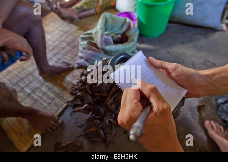 Fischhändler Treffen mit einem Forscher auf Chikuni Island, nachhaltige Fischerei Ebenen zu quantifizieren Stockfoto