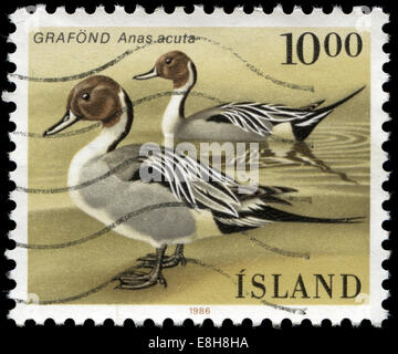 Poststempel Stempel aus Island in die Vögel in der Serie 1986 Stockfoto