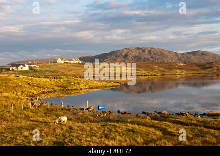 Teil der Gemeinde Siabost an der Westküste von der Isle of Lewis, über das kleine Loch Grinneabhat gesehen. Stockfoto