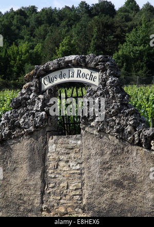 Ummauerten Weinberg. Clos De La Roche bei Nuits Saint Georges Frankreich Europa Stockfoto