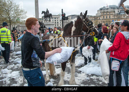 Ein Pferd erwischt in der Aufregung wie Londoner Kampf auf der Straße nahe Trafalgar Square während International Pillow Fight Day 2014 Kissen wo: London, England, Vereinigtes Königreich bei: 5. April 2014 Stockfoto