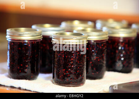 Hausgemachte Konserven Brombeermarmelade Stockfoto