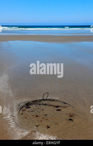 Krabbenfalle vergraben im Sand am langen Strand Stockfoto