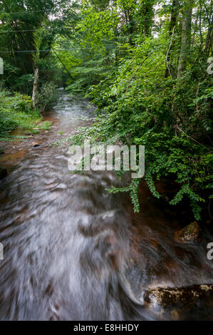 Ein Blick von Laurel Fork von der Brücke, Dennis Bucht Campingplatz entlang der Appalachian Trail im Cherokee National Forest, TN, USA Stockfoto