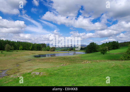 Wise Een Tarn, Claife Heights, Lake District National Park, Cumbria, England, UK im Frühjahr Stockfoto