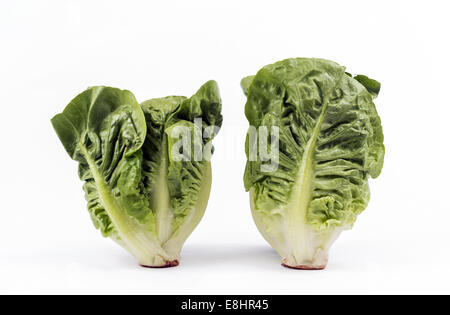 Kleines Juwel Salat Stockfoto