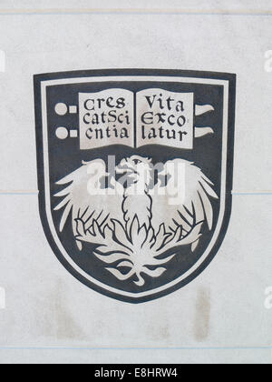 Stein Relief des offiziellen Wappens von der University of Chicago auf einem Campus Gebäude im Hyde Park von Chicago, IL, USA. Stockfoto