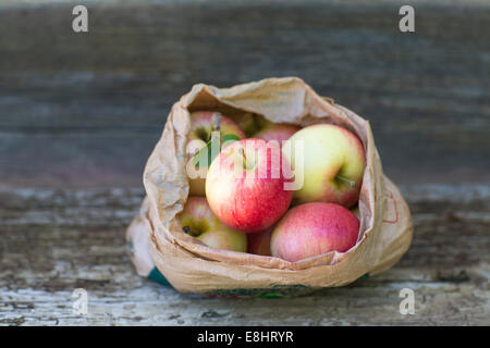 Äpfel, rot, grün, Früchte, Herbst, rustikale Bank, weißer Hintergrund, im Freien, in Papiertüte, saftig, frisch, gesund essen, Stockfoto