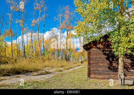 Feldweg und rustikale alte Hütte im Herbst Stockfoto