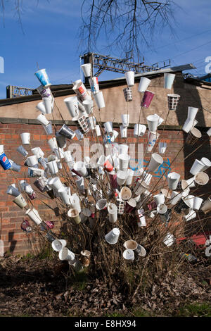 Wurf Bush in Manchester, verziert mit weißem Styropor Tassen, eine improvisierte Kunst Dekoration auf Baumstamm sprießen. Stockfoto