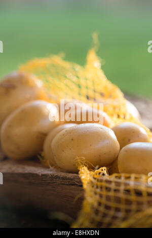 Gruppe von ganze Kartoffeln auf rustikalen Holz im net tragen. Stockfoto