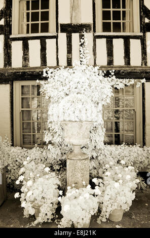 Infrarot-Fotografie eines klassischen englischen Gartens, Urn auf Sockel am Wollerton Old Hall (NGS) Market Drayton in Shropshire frühen su Stockfoto