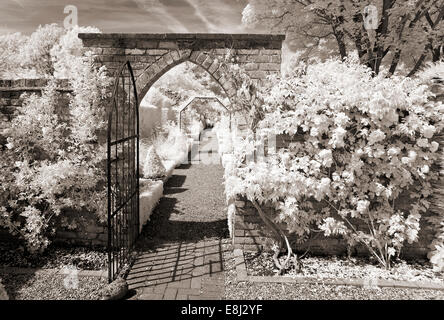 Infrarot-Fotografie des klassischen englischen Garten, Blick auf Garten über Gateway, Pyramide Box Linie Weg am Wollerton Old Hall Stockfoto