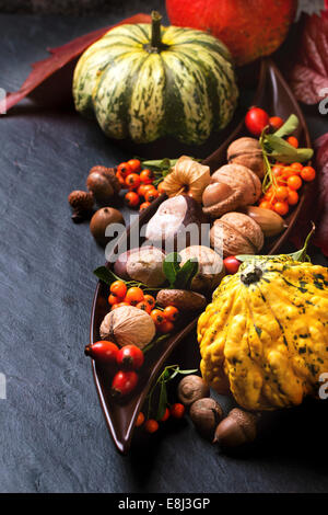 Kürbisse, Nüssen, Beeren und Pilze Pfifferlinge auf schwarzem Hintergrund. Stockfoto