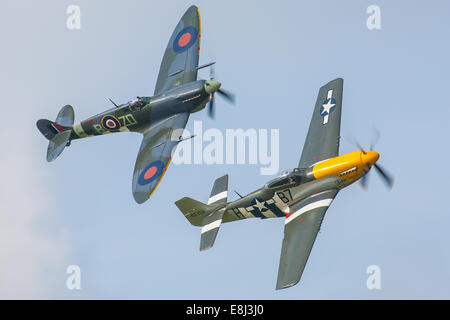 Spitfire und P51 Mustang anzeigen am Goodwood Revival 2014, West Sussex, UK Stockfoto