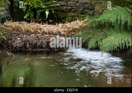 Ballen aus Gerstenstroh, die in einem Fluss zur Klärung eines Gartenteichs verwendet werden – das Stroh erzeugt Peroxid, das das Algenwachstum steuert (UK) Stockfoto