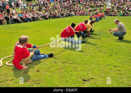 Tauziehen, eine der Disziplinen bei den Highland Games, Dufftown, Moray, Highlands, Schottland, Vereinigtes Königreich Stockfoto