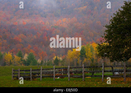 Landschaft mit Zaun am nebligen Morgen im Spätherbst, Iron Hill, Eastern Townships, Quebec, Kanada Stockfoto