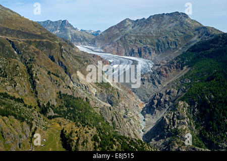 Belalp Tourismusregion, mit Blick auf den Aletschgletscher, Strahlhorn, Eggishorn und Bettmerhorn, Berner Alpen, Wallis Stockfoto