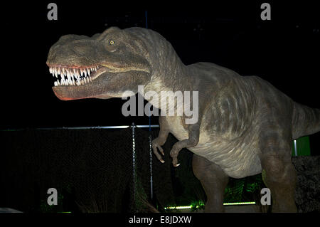 dh Tyrannosaurus rex PRÄHISTORISCHE UK ausgestorben T rex Nordamerika Dinosaurier Zweipedal Fleischfresser Replik Stockfoto